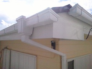 愛される『真白』