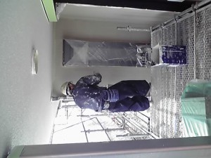 助っ人参上