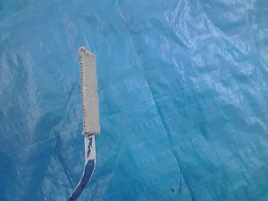 11-02-15_002.jpg