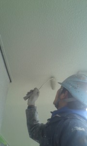 軒天、屋根塗装