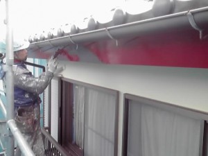 11-03-10_002_2.jpg