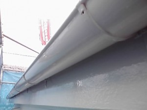 11-03-10_006.jpg