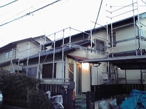 11-03-12_004.jpg