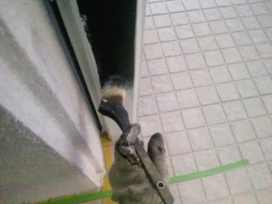 2011/ 4/ 4 10:42