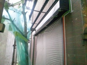 徹底養生