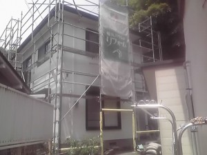 11-05-20_003.jpg