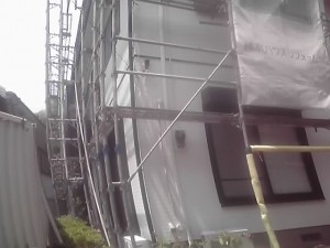 11-05-20_004.jpg