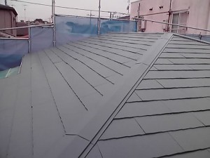 11-06-01_005.jpg