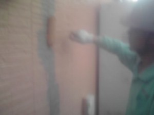 11-06-10_007.jpg