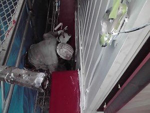 秦野市→海老名市