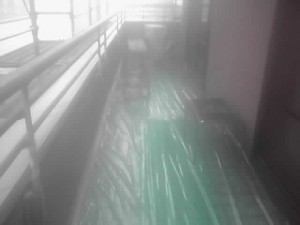 11-06-24_008_3.jpg