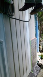 総さび