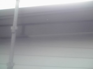 11-07-08_004.jpg