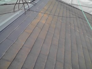 11-07-12_005.jpg