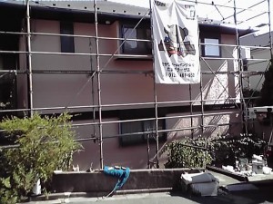 11-07-15_005_2.jpg