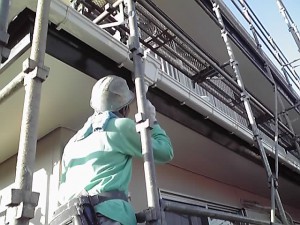 初めまして久米拓馬です。