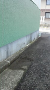 大満足な出来上がり