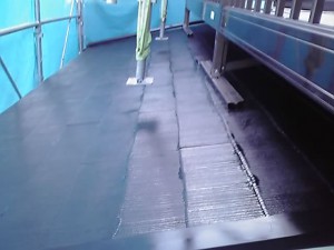 11-08-10_011.jpg