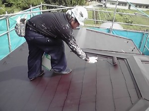 屋根は暑かった