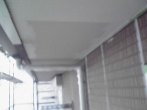 11-08-26_009.jpg