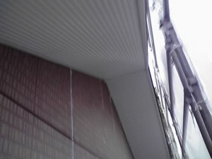 11-08-26_010.jpg
