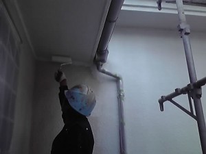 11-09-08_006.jpg