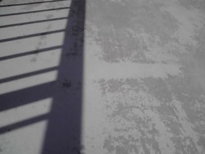 11-09-16_003_2.jpg