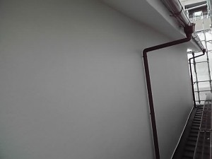 11-09-16_007.jpg