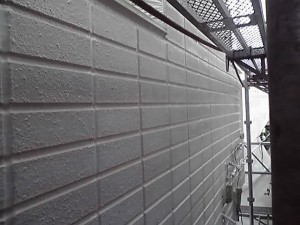 11-09-17_001_2.jpg