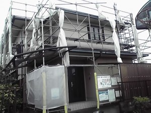 11-09-20_010.jpg
