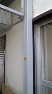 大移動
