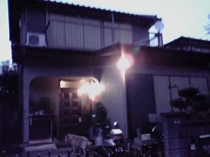 見積り提出、現調、成約