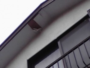 11-10-04_010.jpg
