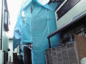 11-10-06_007.jpg