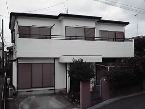 11-10-09_001.jpg