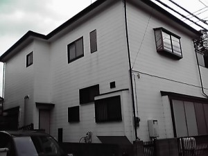 11-10-09_002.jpg