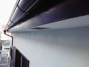 11-10-16_007.jpg