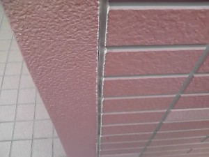 11-10-18_012.jpg