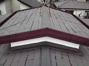 11-10-20_007.jpg