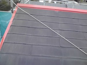 11-10-24_008.jpg