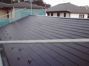 11-10-27_003_2.jpg
