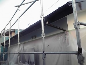 11-10-28_008.jpg