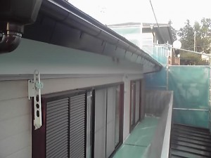 11-10-29_002.jpg