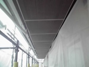 11-11-01_002.jpg