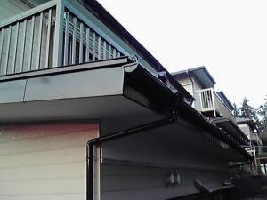 11-11-04_005_3.jpg