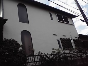 11-11-08_002.jpg