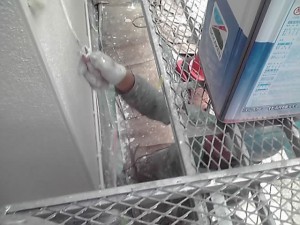 11-11-08_008.jpg