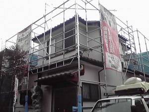 11-11-10_003_2.jpg