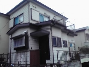 11-11-10_003_3.jpg