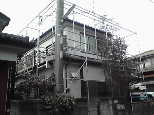 11-11-12_004_2.jpg